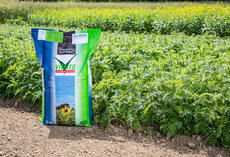 viterra ® Universal, Sack auf Feld
