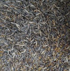 viterra ® UNIVERSAL, Saatgut