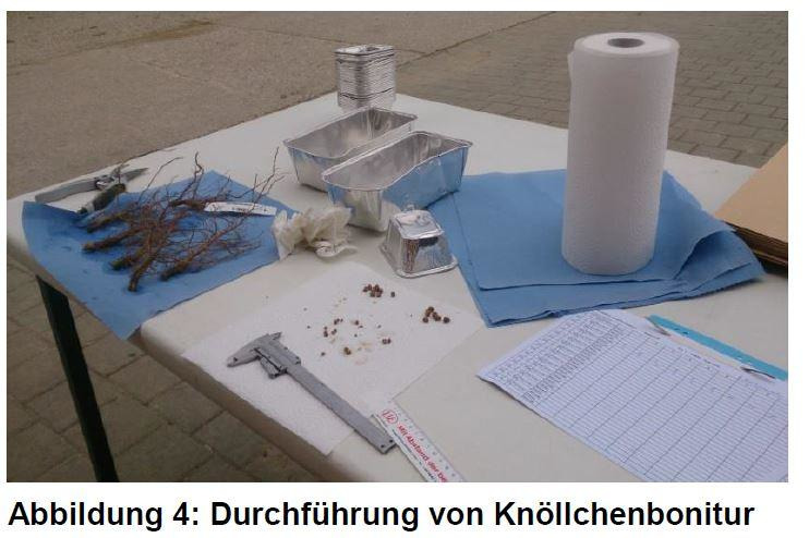 Zum Vergrößern bitte Anklicken