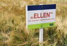 SU Ellen