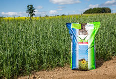 viterra ® Granoleg, Sack auf Feld