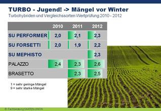 Jugendentwicklung