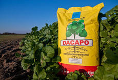 Ölrettich Dacapo, Sack