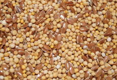 viterra® SCHNELLGRÜN LEGUMINOSENFREI, Saatgut
