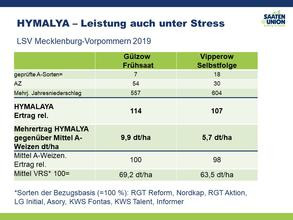 Leistung auch unter Stress (LSV MV 2019)