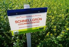 viterra® Schnellgrün Leguminosenfrei, Feldschild