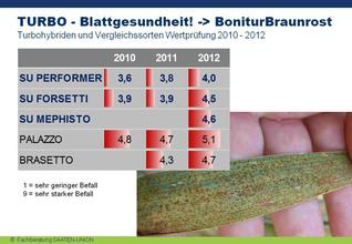 Blattgesundheit